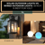 Showcasing exterior lights in a garden setting, with the blog title 'Solar Outdoor Lights vs Wired Outdoor Lights: Which Is Best for You?' displayed.